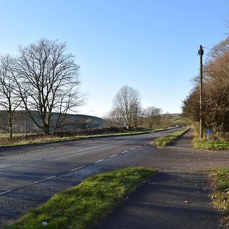 Bobtail By Woodland Park *