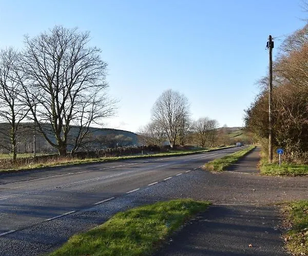 Bobtail By Woodland Park *