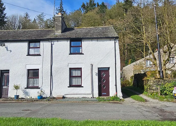 Bobtail By Woodland Park *