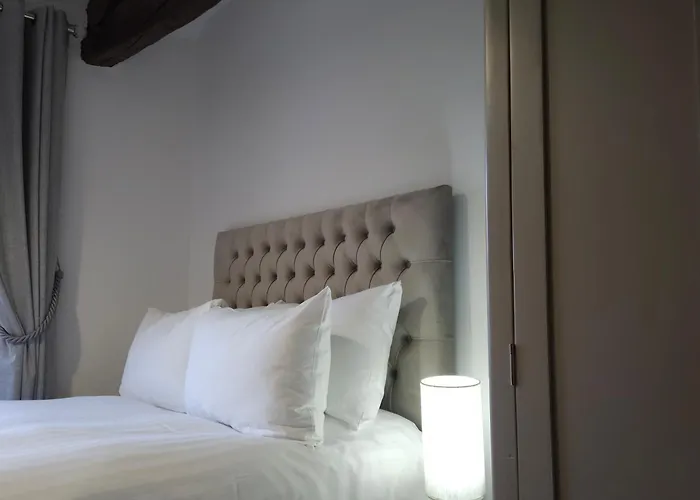 Bobtail By Woodland Park *