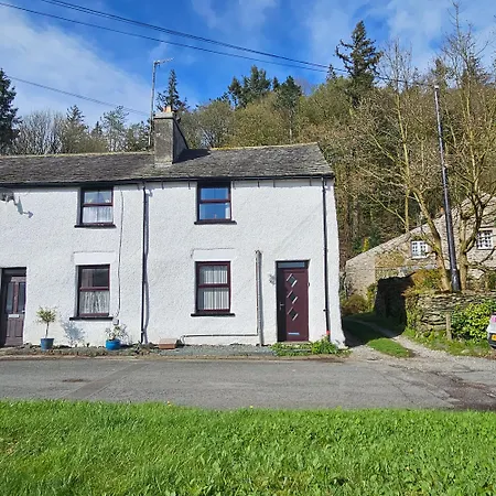 Bobtail By Woodland Park *